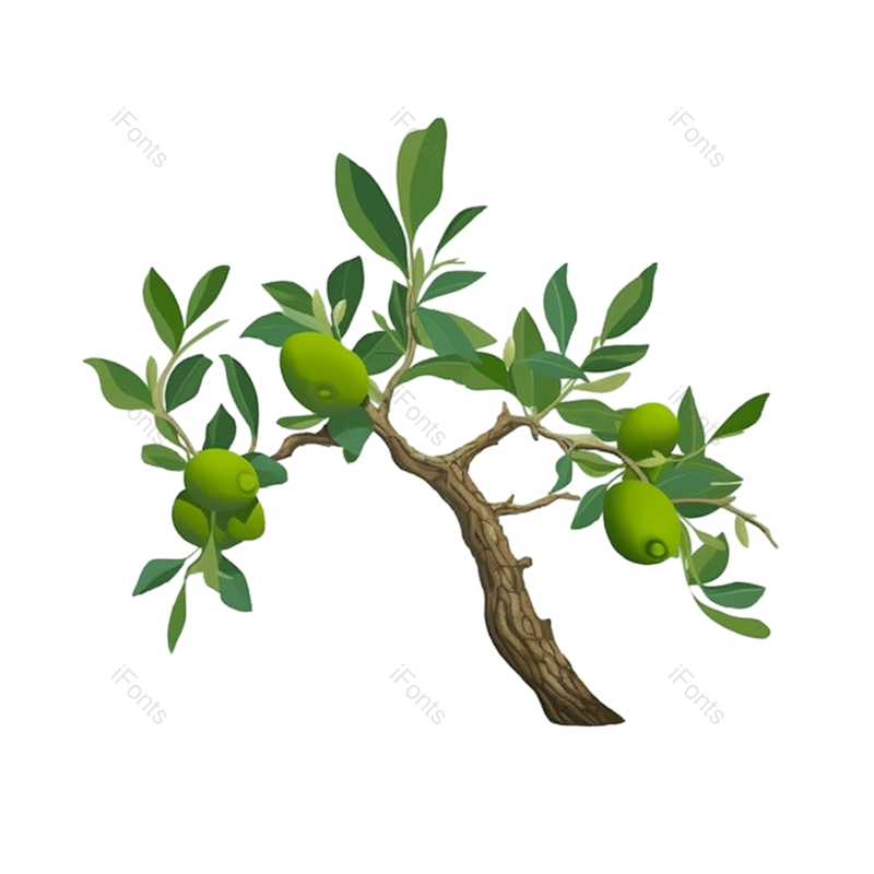 叶子图片,芒种元素,水果PNG,树叶免抠素材